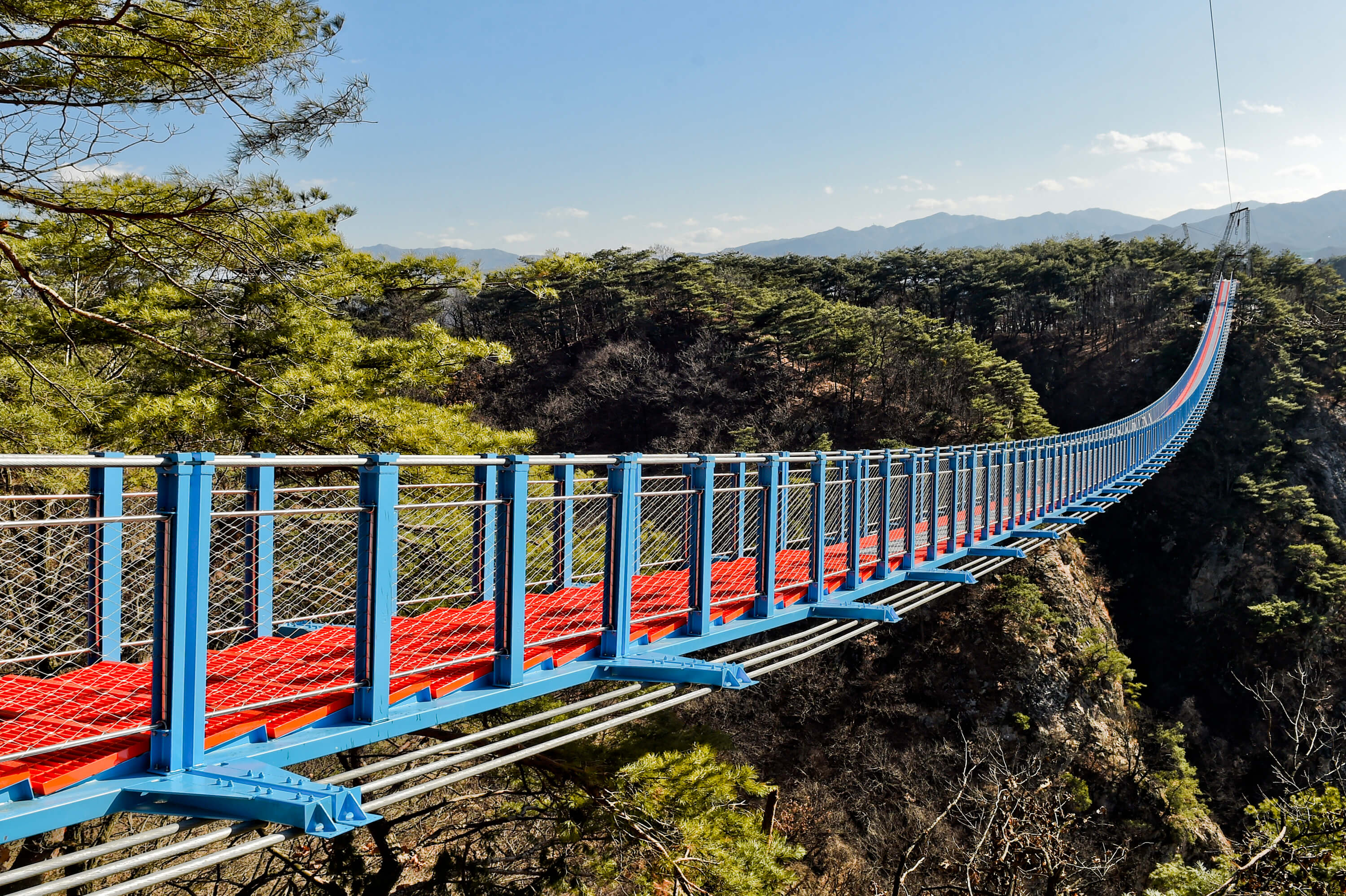 소금산출렁다리 입장료 맛집