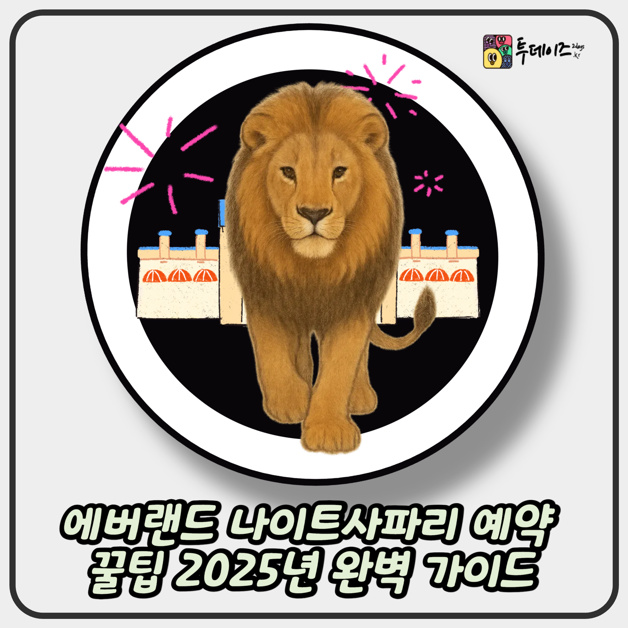 에버랜드 나이트사파리 예약 꿀팁 2025년 완벽 가이드