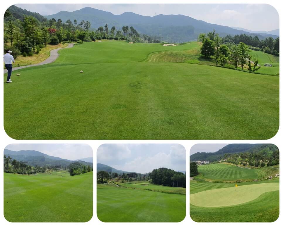골프장 경험담 홍천 세이지우드cc 사람이 가장 쾌적함을 느끼는 해발 765m에서 경험하는 자연, 골프, 쉼