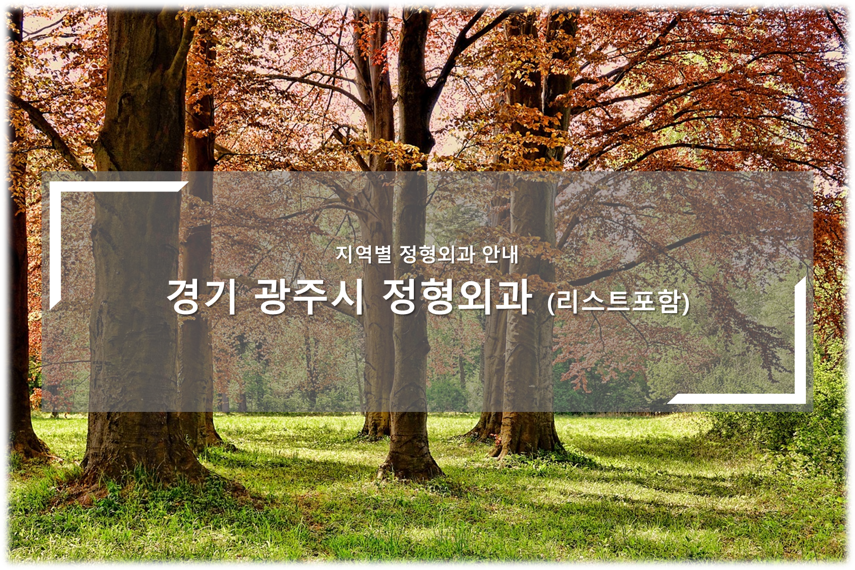 경기 광주시 정형외과의원 안내