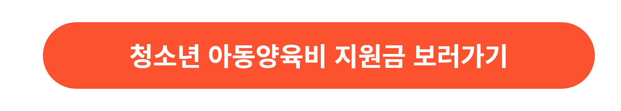 서울시 청소년 아동양육비 지원금내용