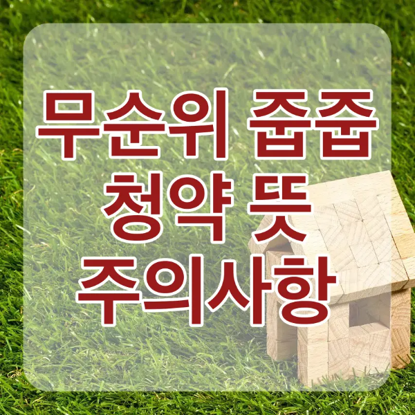 초록색 잔디 우측 하단 나무조각으로 만든 집 위 흰테두리 붉은글씨 무순위 줍줍 청약 뜻 주의사항