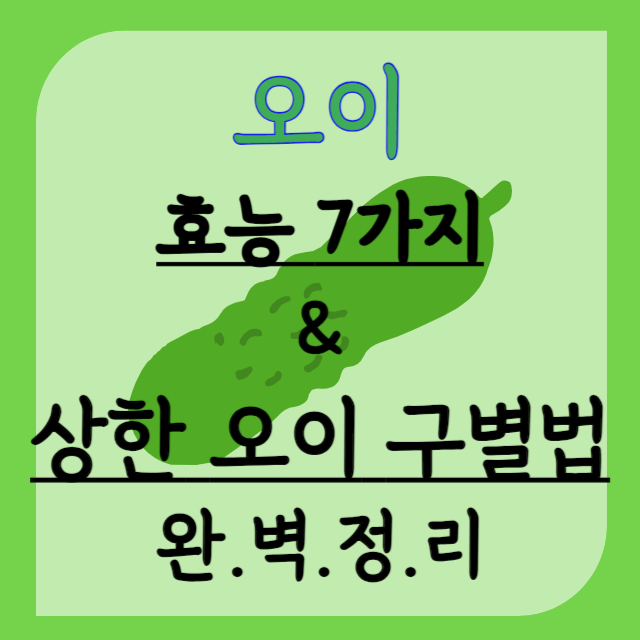 상한-오이-구별법-오이-효능