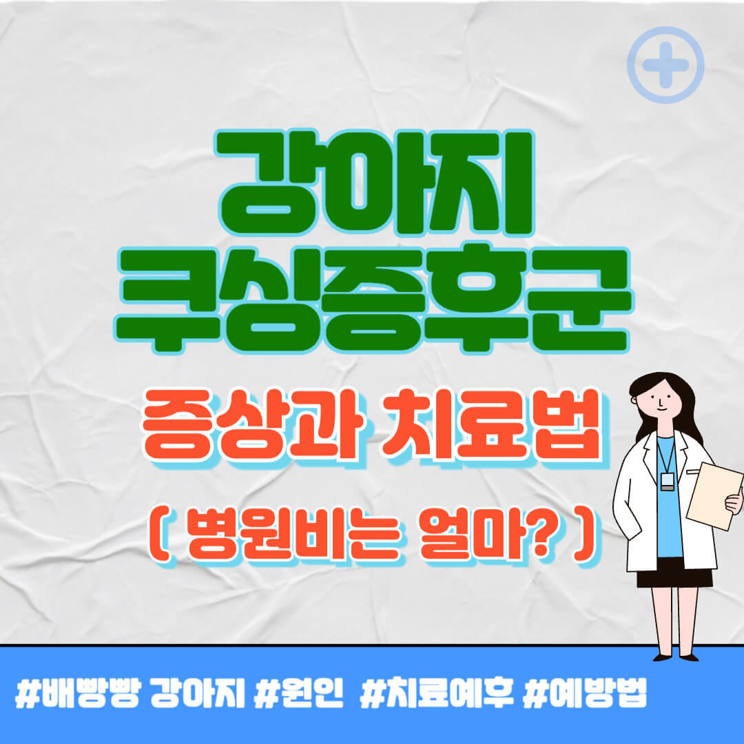강아지 쿠싱증후군 증상 썸네일