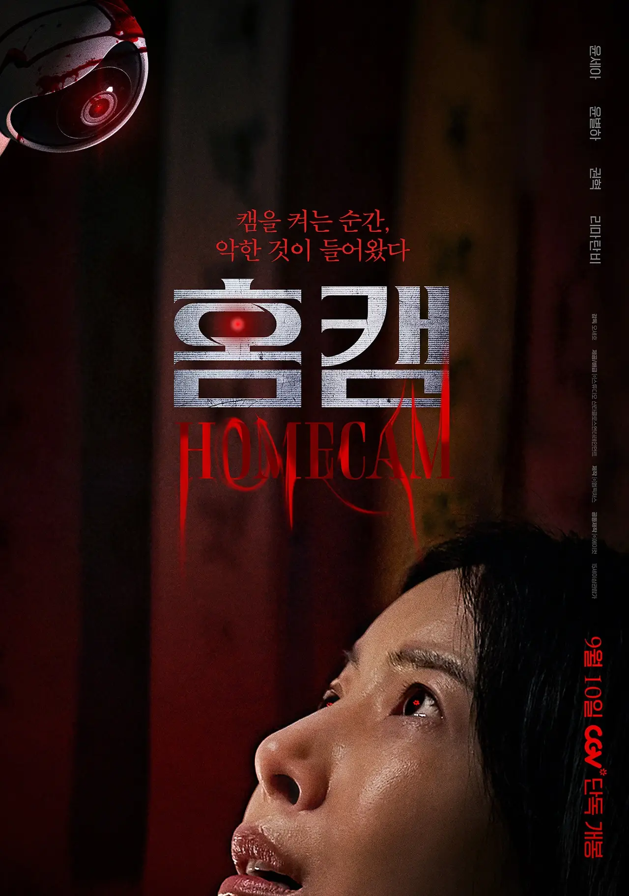 영화 홈캠 정보 줄거리 출연진 결말 쿠키영상