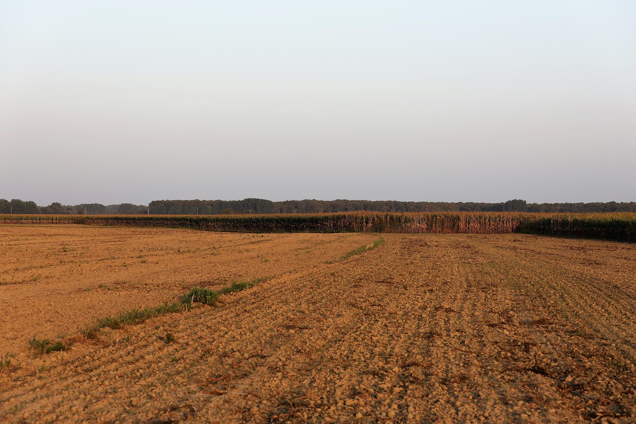 토지이음