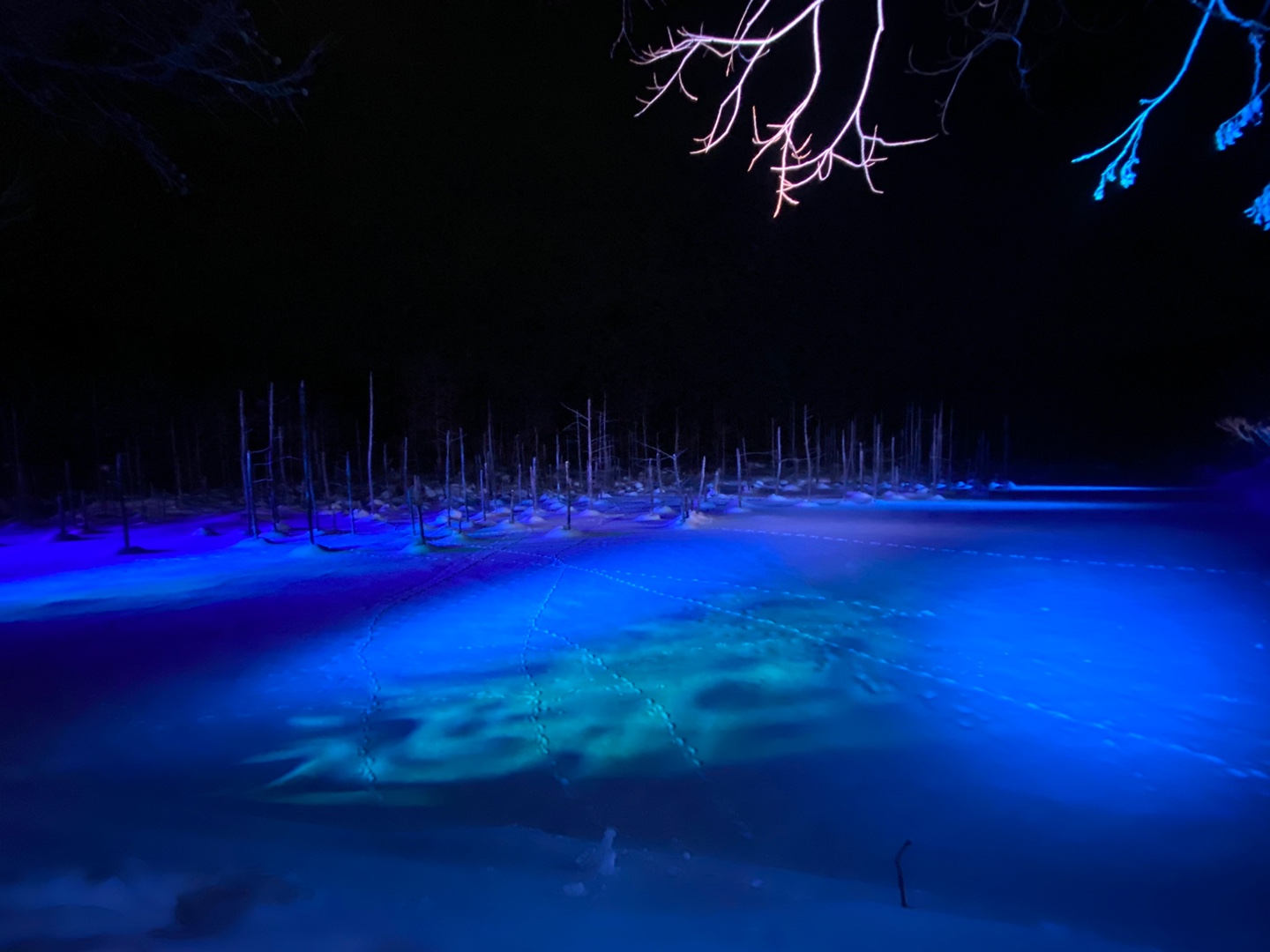 비에이 여행일정