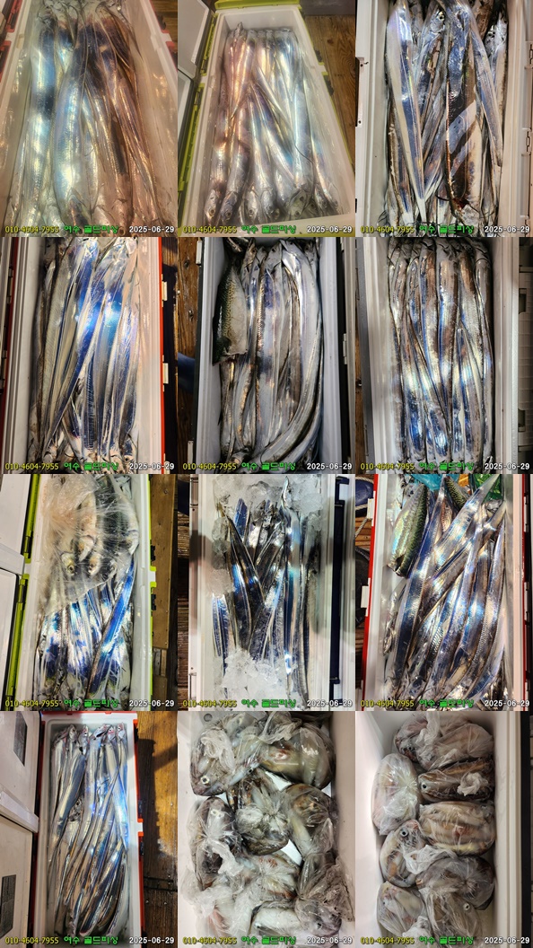 img.jpg?credential=yqXZFxpELC7KVnFOS48yl