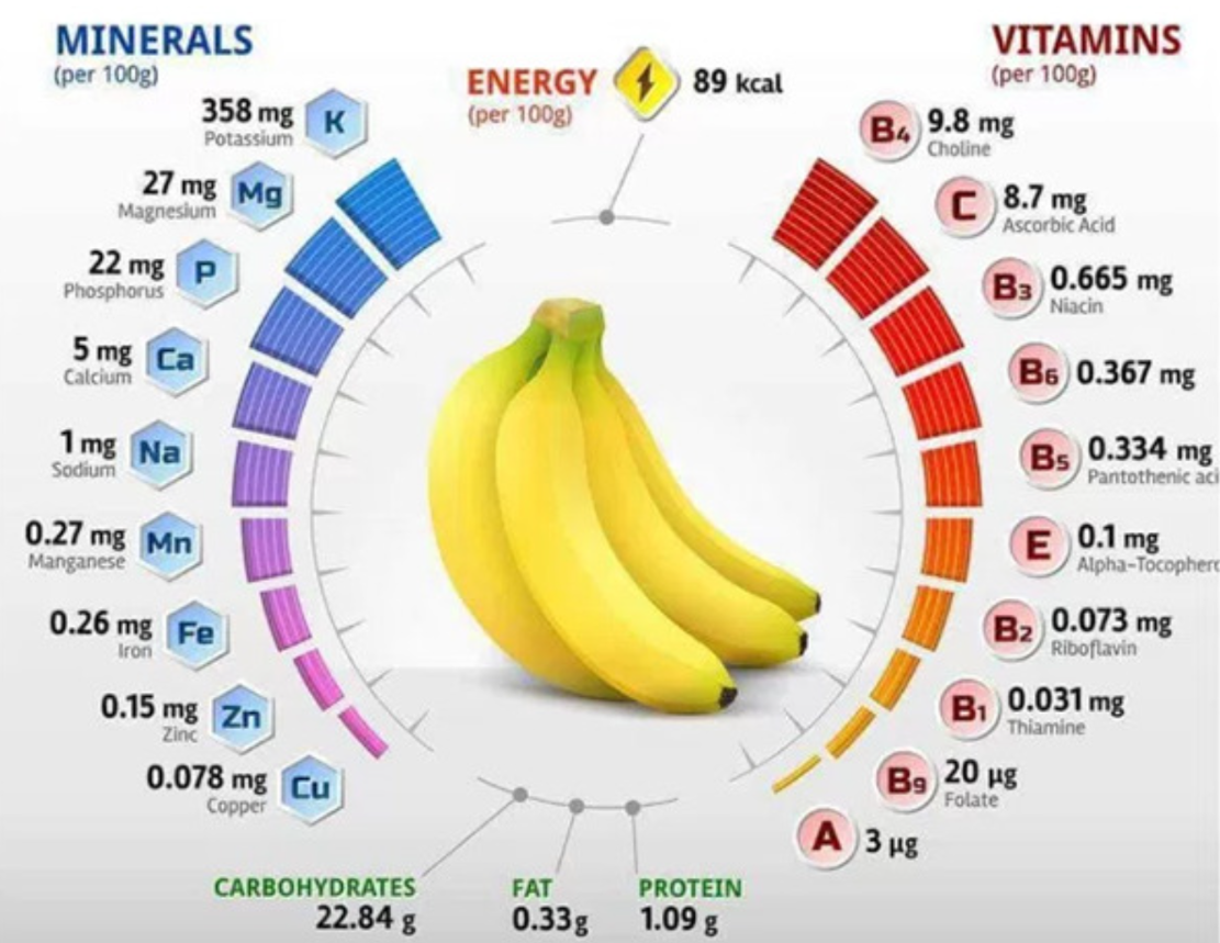 바나나의 영양 성분