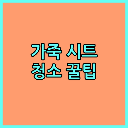 가죽 시트 손상 없이 완벽하게 청소하