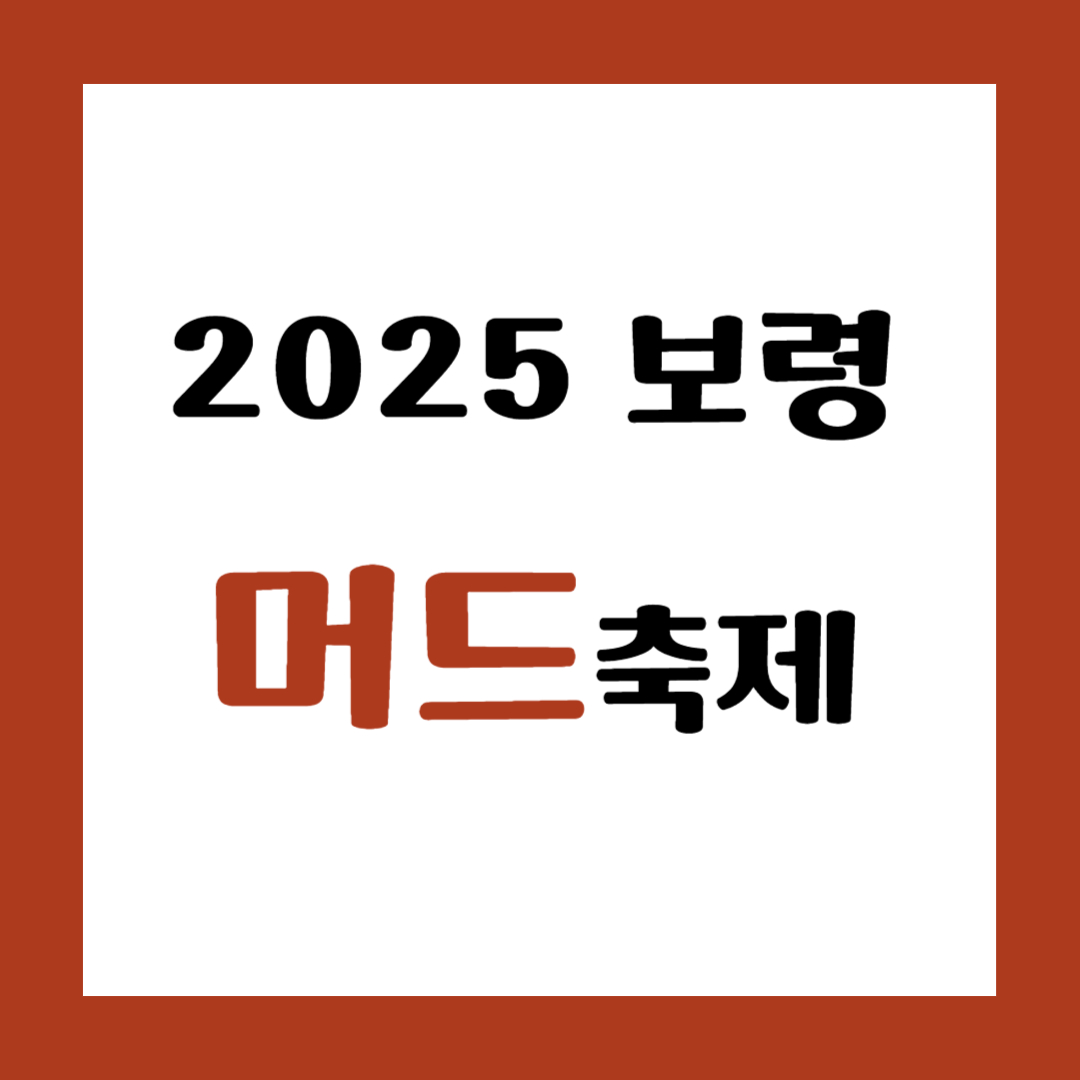 2025 보령 머드축제 썸네일 이미지