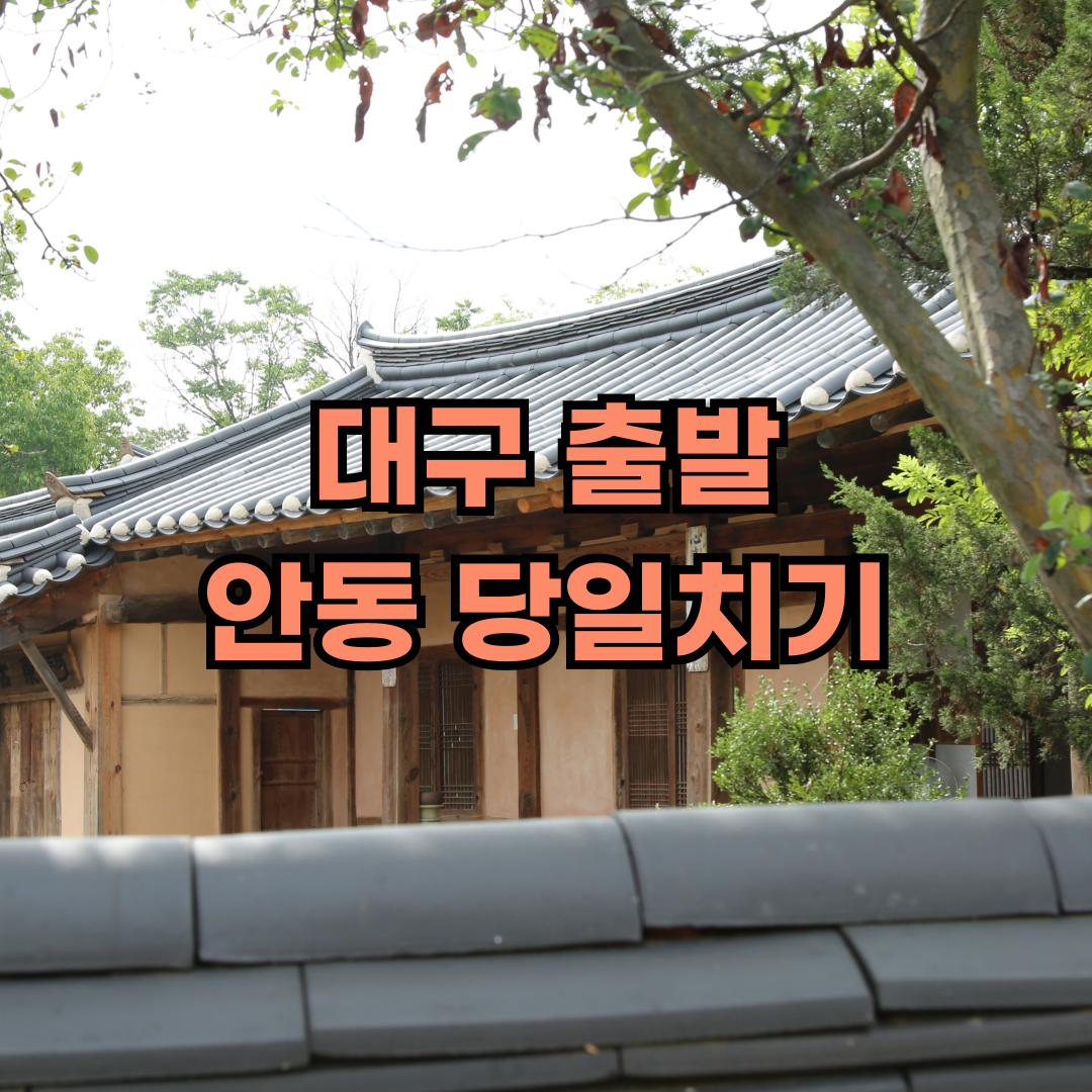 대구 출발 안동 당일치기 여행