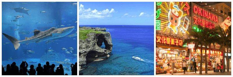 츄라우미 수족관, 만좌모, 국제거리 사진