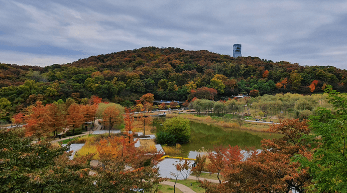 2. 북서울 꿈의 숲