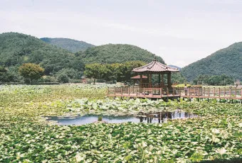경상도 가을 여행하기 좋은 곳 여행지 추천 10곳으로 묶음_24