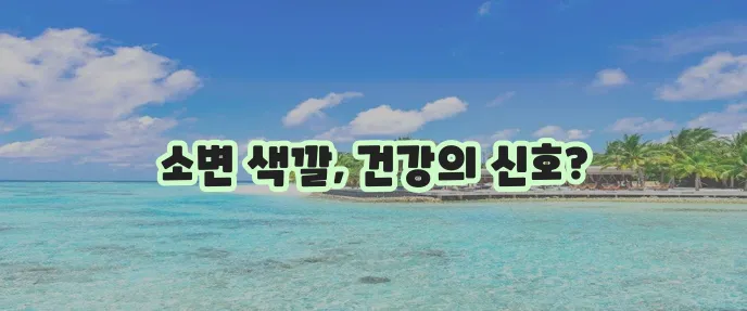 소변 색깔로 건강 상태를 확인해봐야 합니다!