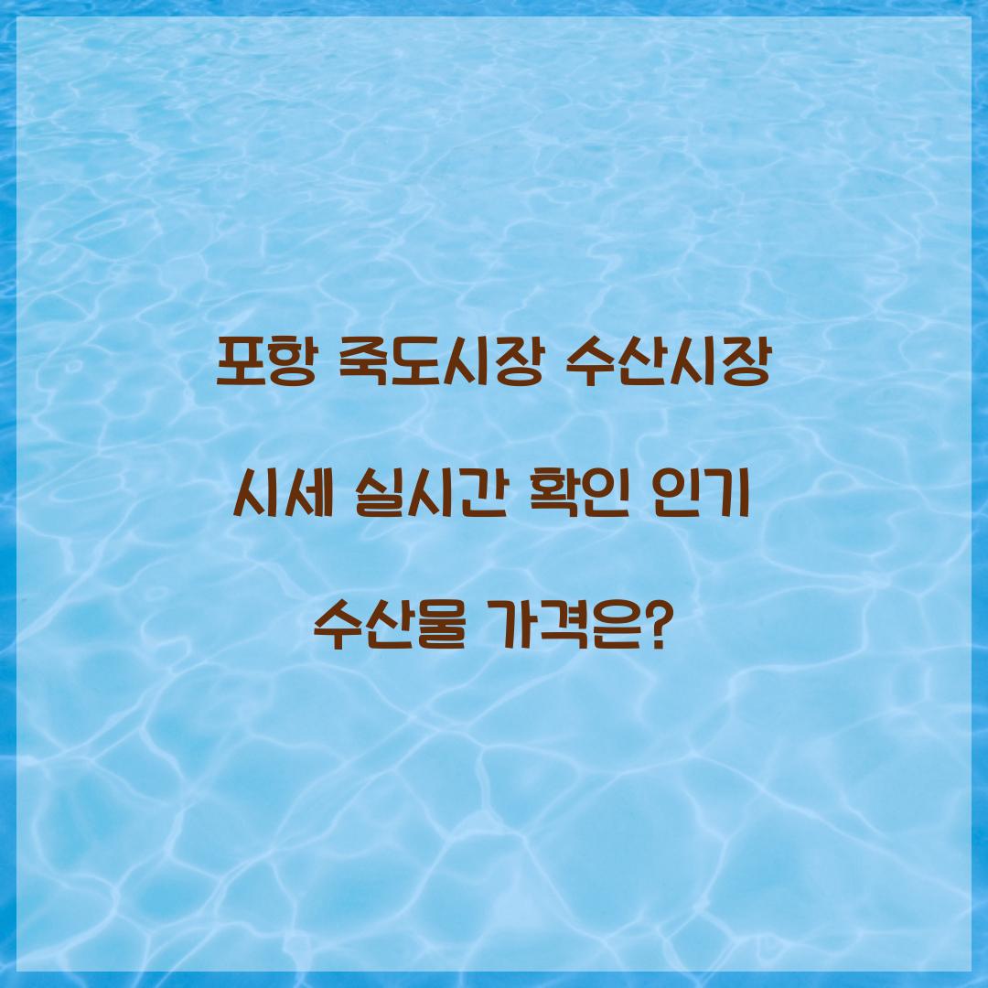 포항 죽도시장 수산시장 시세 실시간 확인