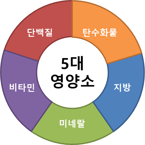 필수 영양소 다이어그램