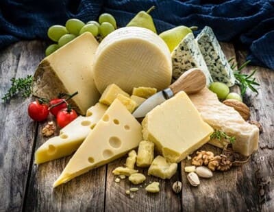 다양한 치즈