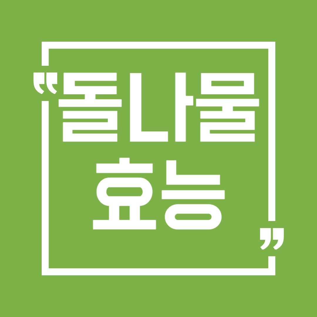 봄철 건강식품 돌나물 효능과 부작용까지 정리!