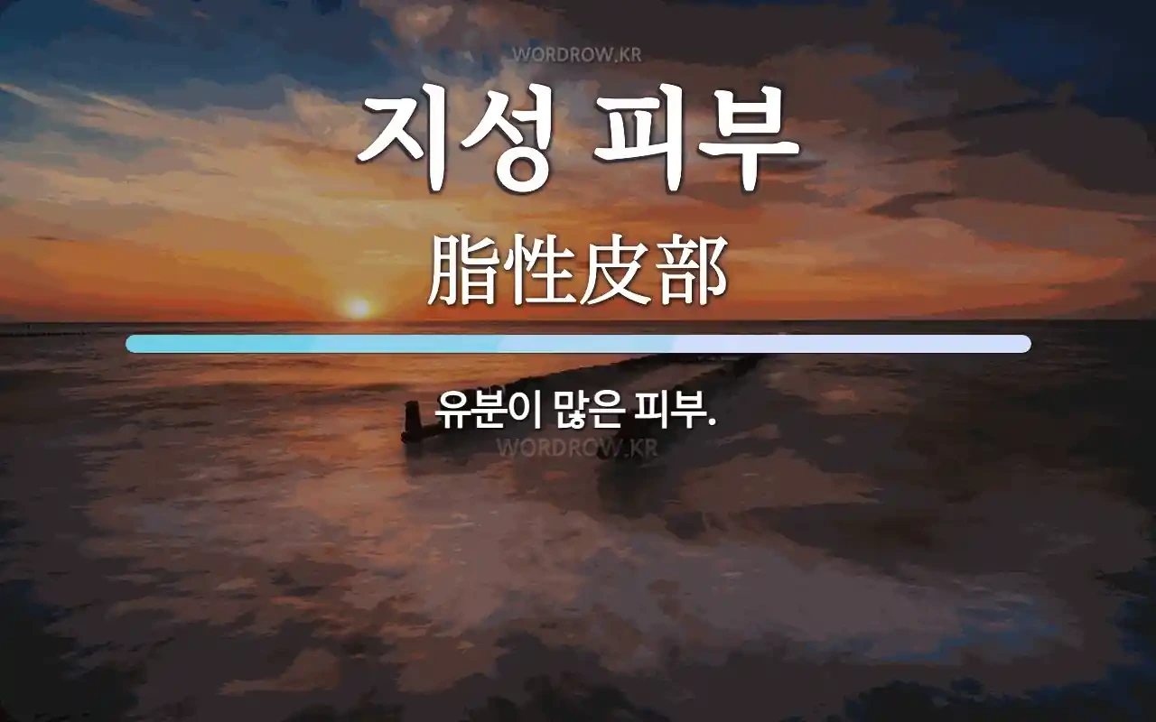 지성 피부 관련 사진