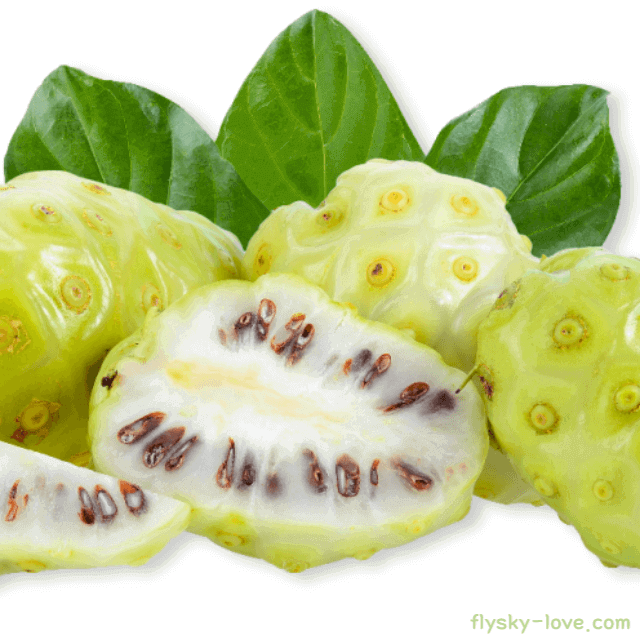 신이내린 열매 노니