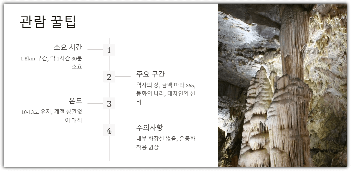 정선 화암동굴 관람 꿀팁