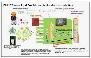 대화제약 주가 전망