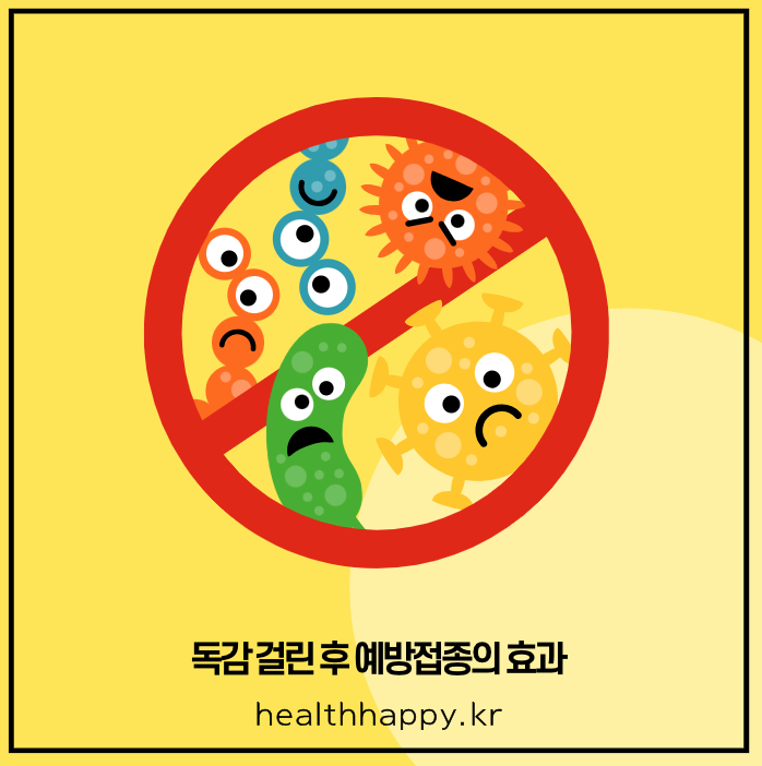 독감 걸린 후 예방접종의 효과