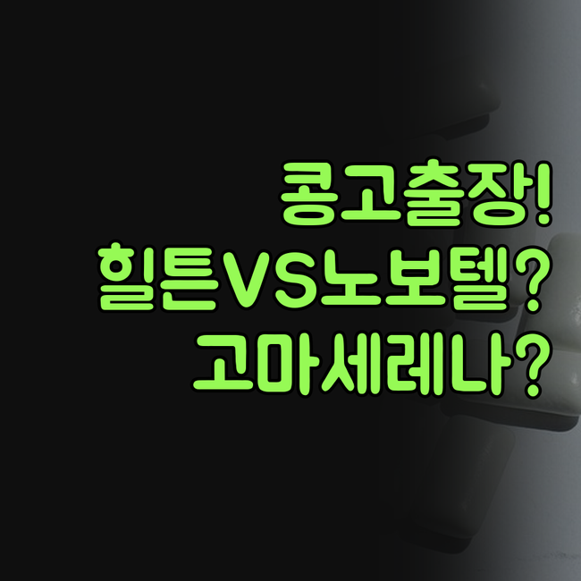 콩고 민주공화국 출장 호텔 추천 힐튼..