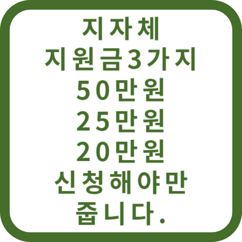 지자체지원금