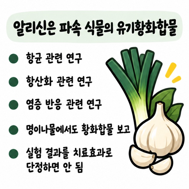 알리신은 파속 식물의 유기황화합물이며 항균·항산화·염증 관련 작용이 연구되지만 치료효과로 단정할 수 없음을 보여주는 카드