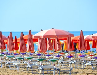 강원도 해수욕장 개장일