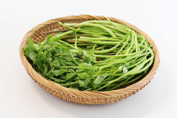 편스토랑 류수영 오징어회무침 레시피&amp;#44; 어남선생 오징어초무침