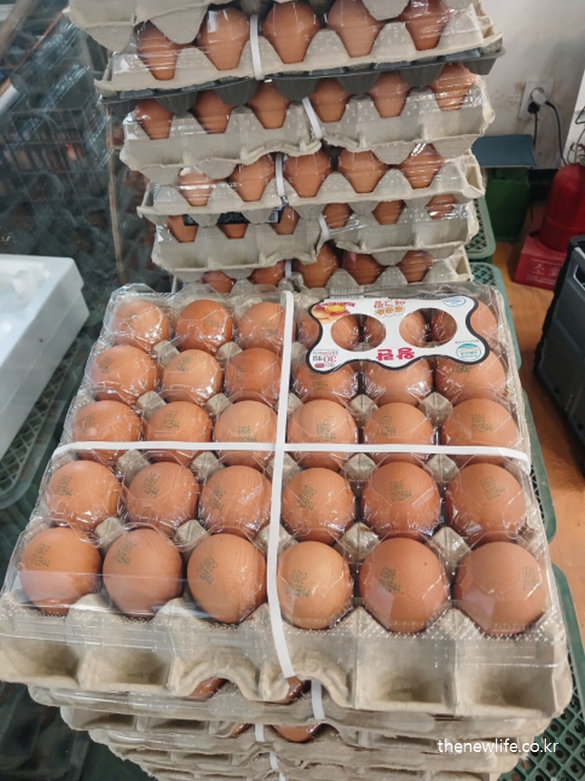 설탕 대신 삶은 계란으로 단백질 보충