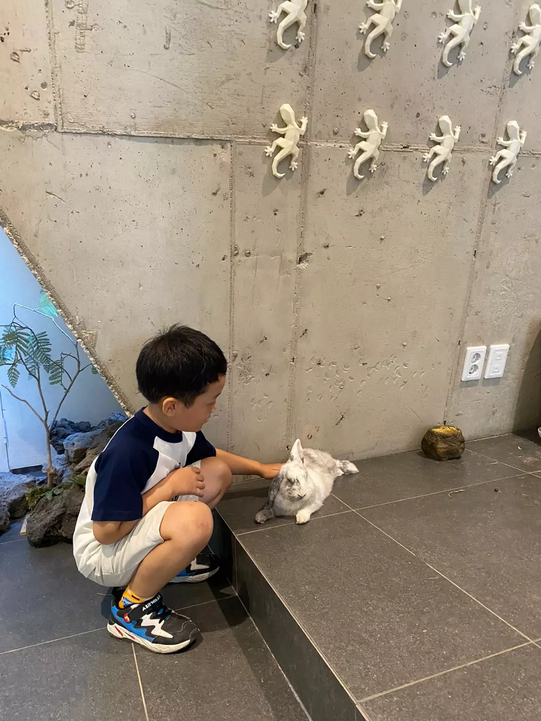 대구 파충류샵