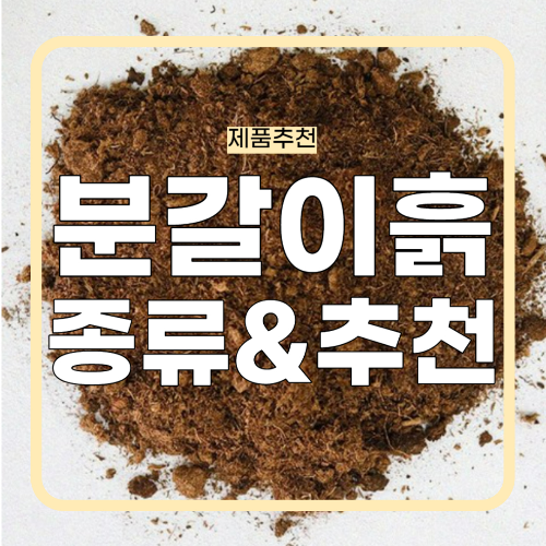 분갈이 흙 중요성과 종류, 추천 제품 구매 링크