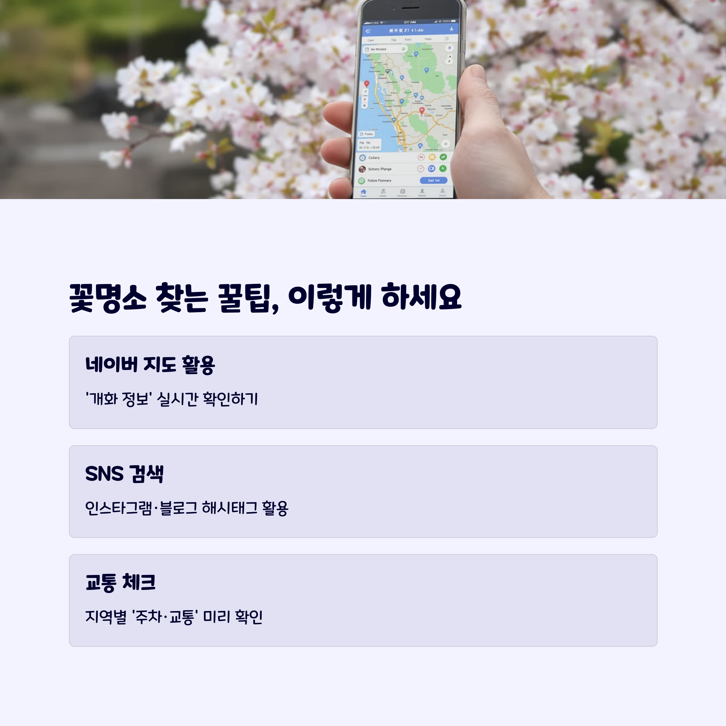 꽃명소찾는팁