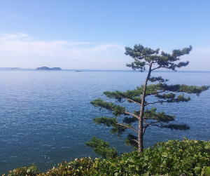 이색 여행지 BEST 4