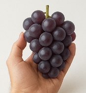포도 효능