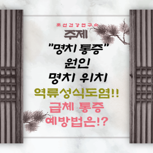 명치통증 원인 위치 역류성 식도염 급체 명치 가슴 통증 예방법