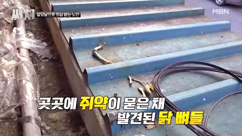 써치 8년간 천여마리 죽인 대전 신탄진 고양이 살해남의 정체