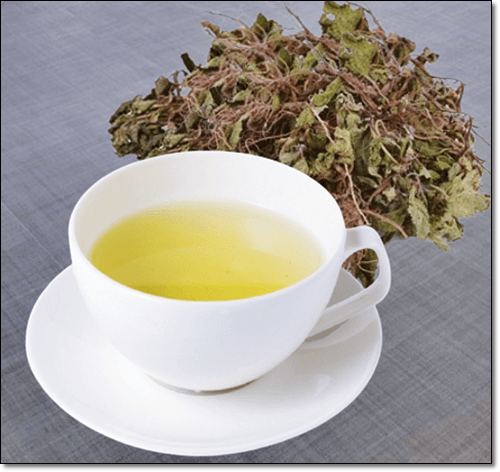 환삼덩굴차 효능