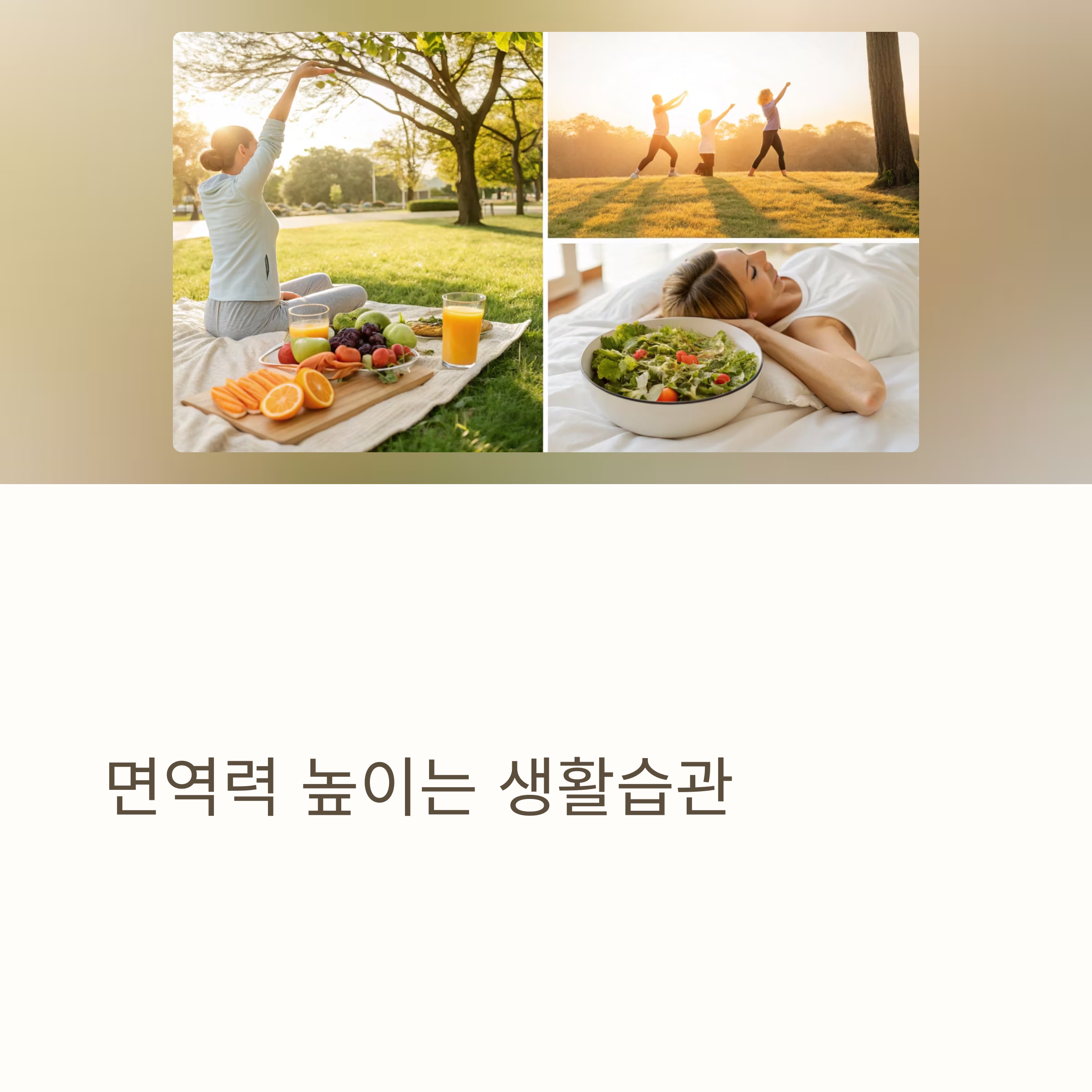 면역력 높이는 생활습관