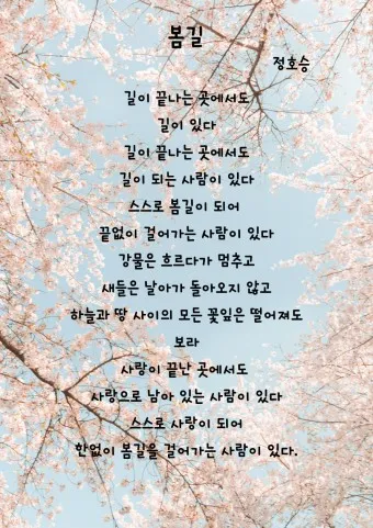 봄 시 모음 이해인 나태주 명시 모음_36