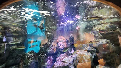 아쿠아플라넷 제주