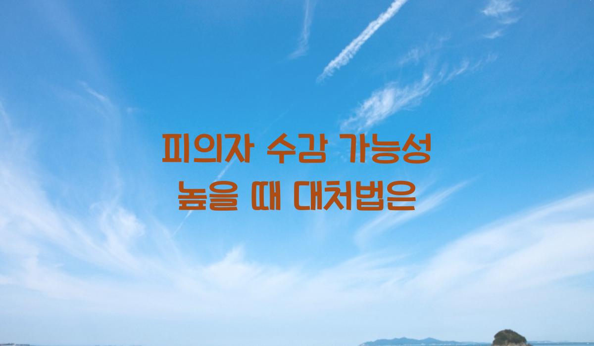 피의자 수감 가능성