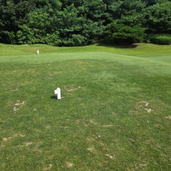 골프존카운티-잔디상태3