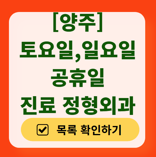 양주시 일요일 문 여는 정형외과 목록 ❘ 토요일, 주말, 공휴일 진료 영업 병원 리스트