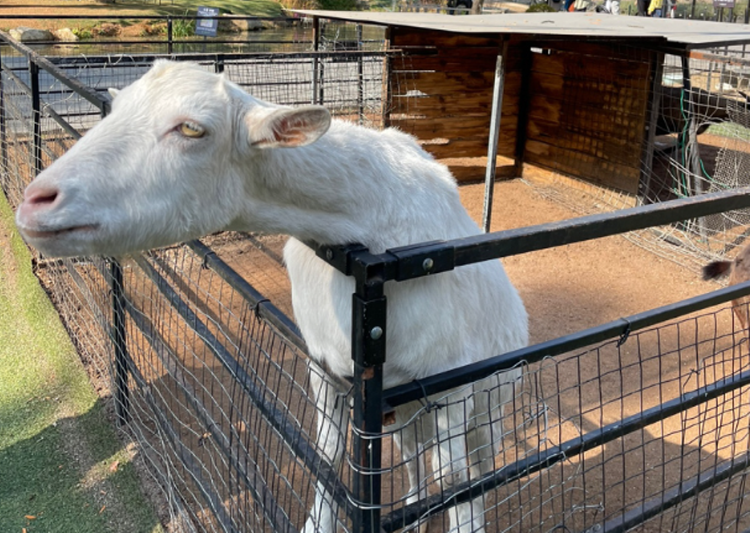 산들소리 수목원